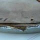 40s oval mirror in wood and stucco 59x39cm