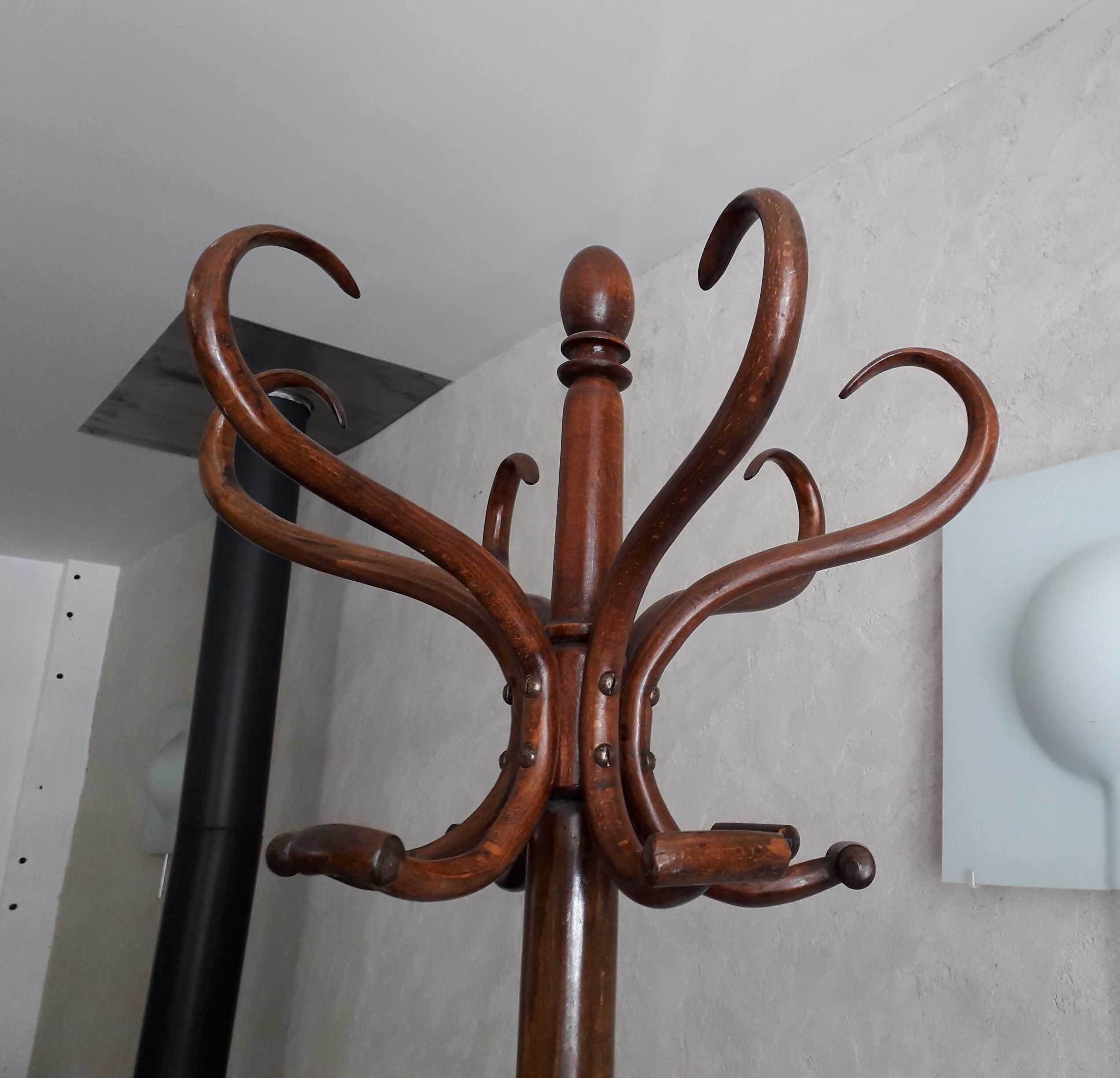 Wooden parrot holder