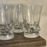 Daum glasses