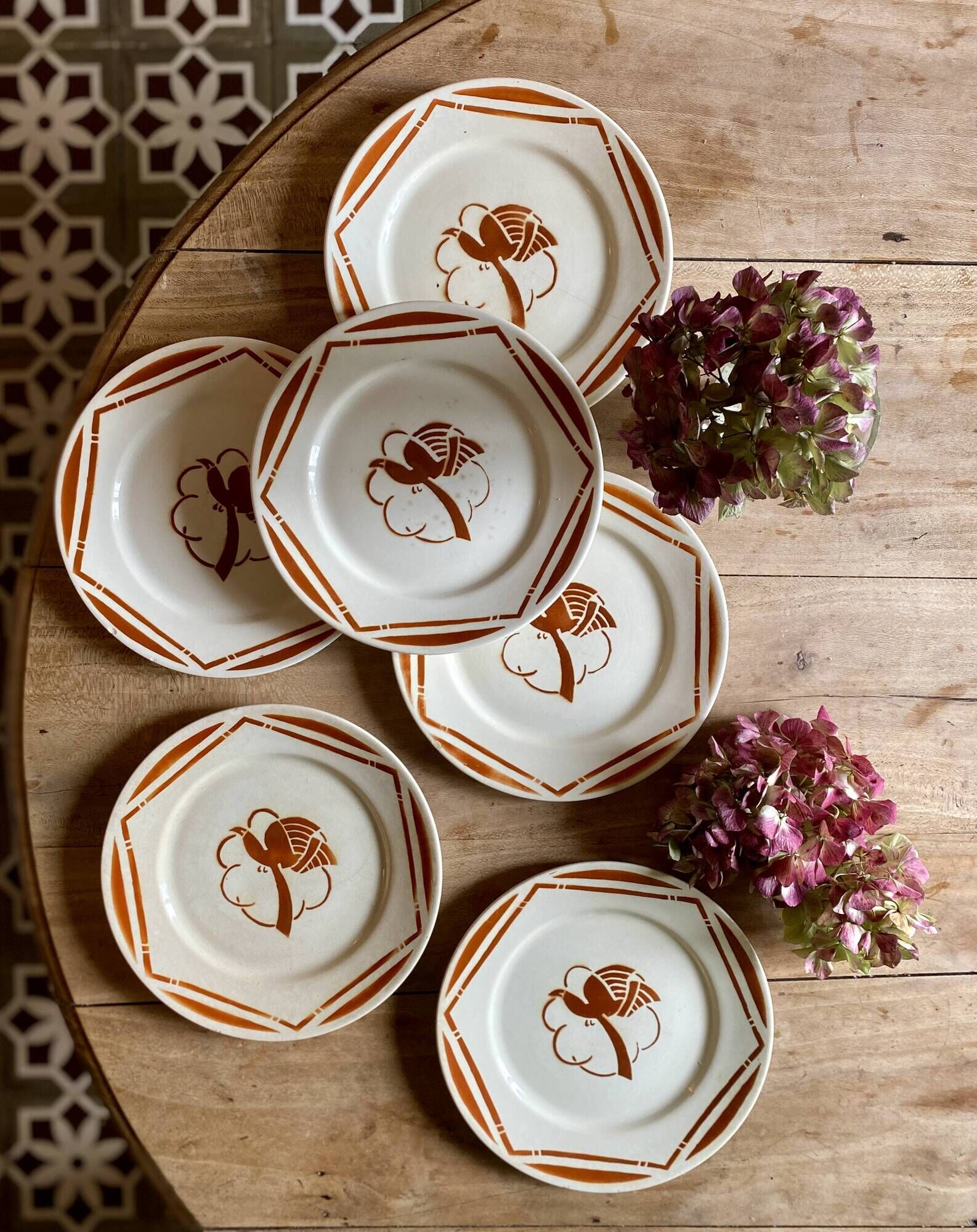 Set of 6 vintage flat plates in iron earth, Paradis de Badonvillier models