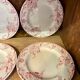 10 plates Terre de Fer Rouge