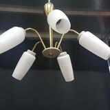 Ceiling of the 50s/60s