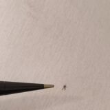 Table lamp by Wilhelm Wagenfeld for Technolumen