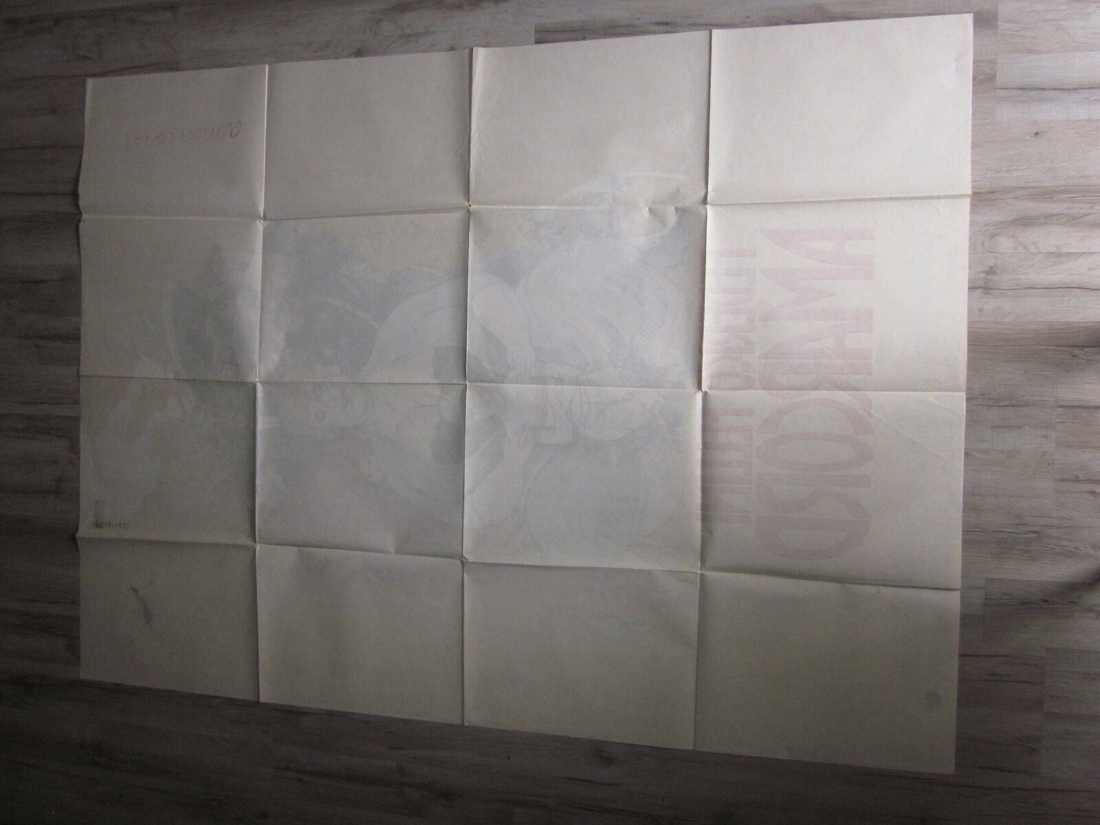 Poster of the film amarcord