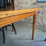 Scandinavian table teak and lemon tree Italian extensions
