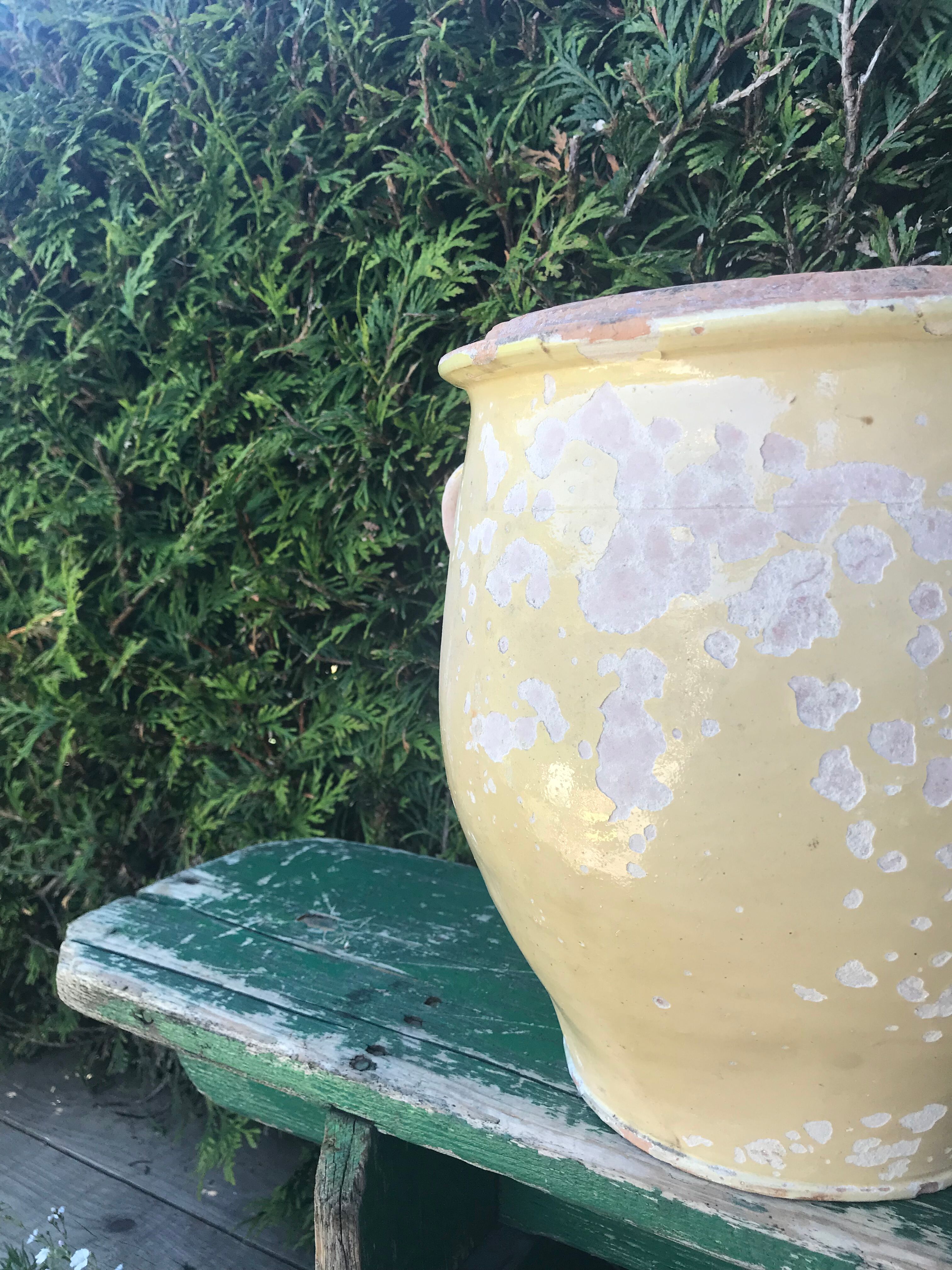 Old ceramic pot