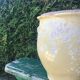 Old ceramic pot