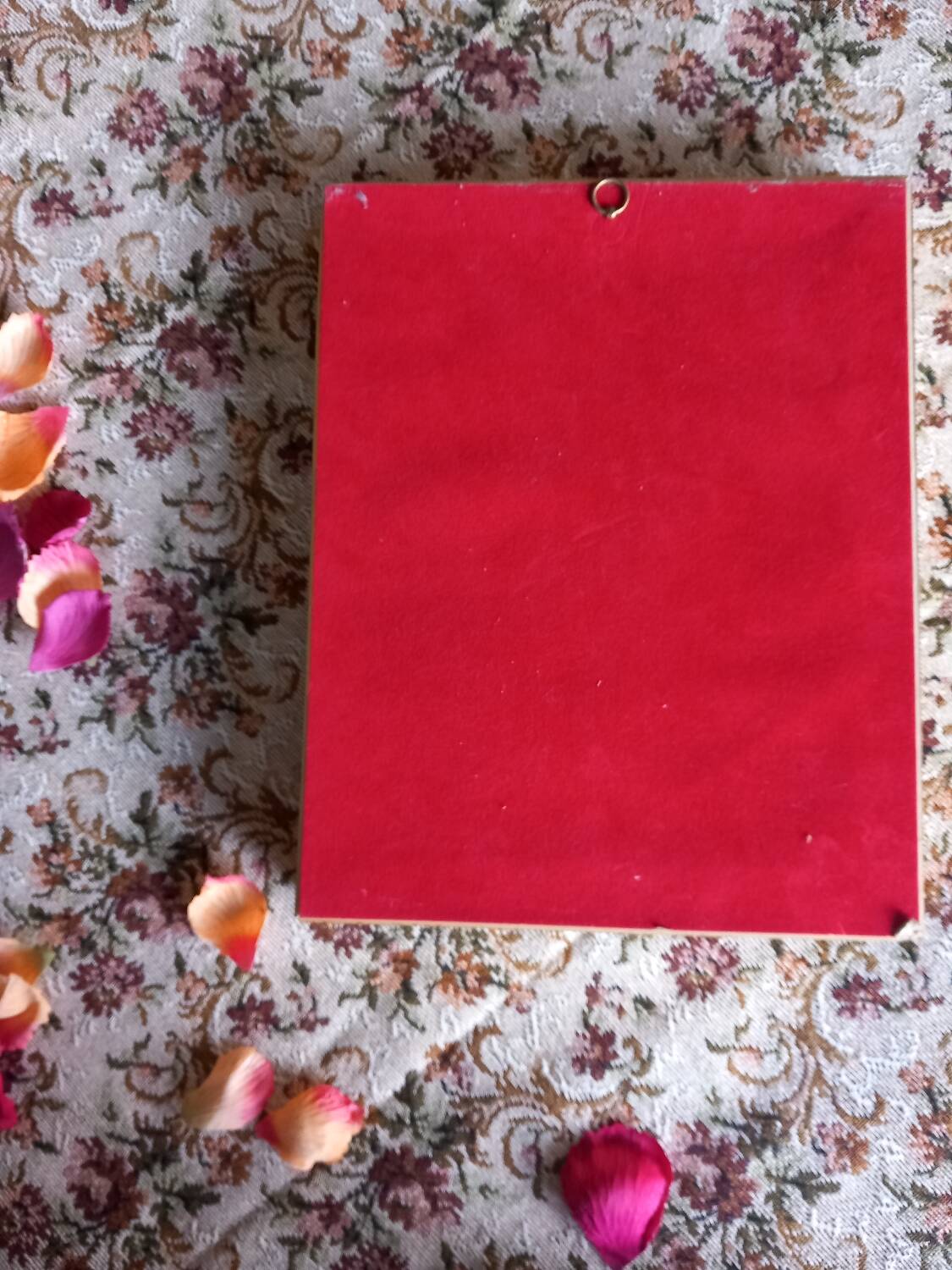 Gilded wooden frame with naturalized butterflies