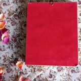 Gilded wooden frame with naturalized butterflies