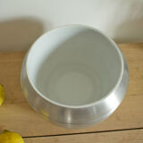 Vintage ice cube apple