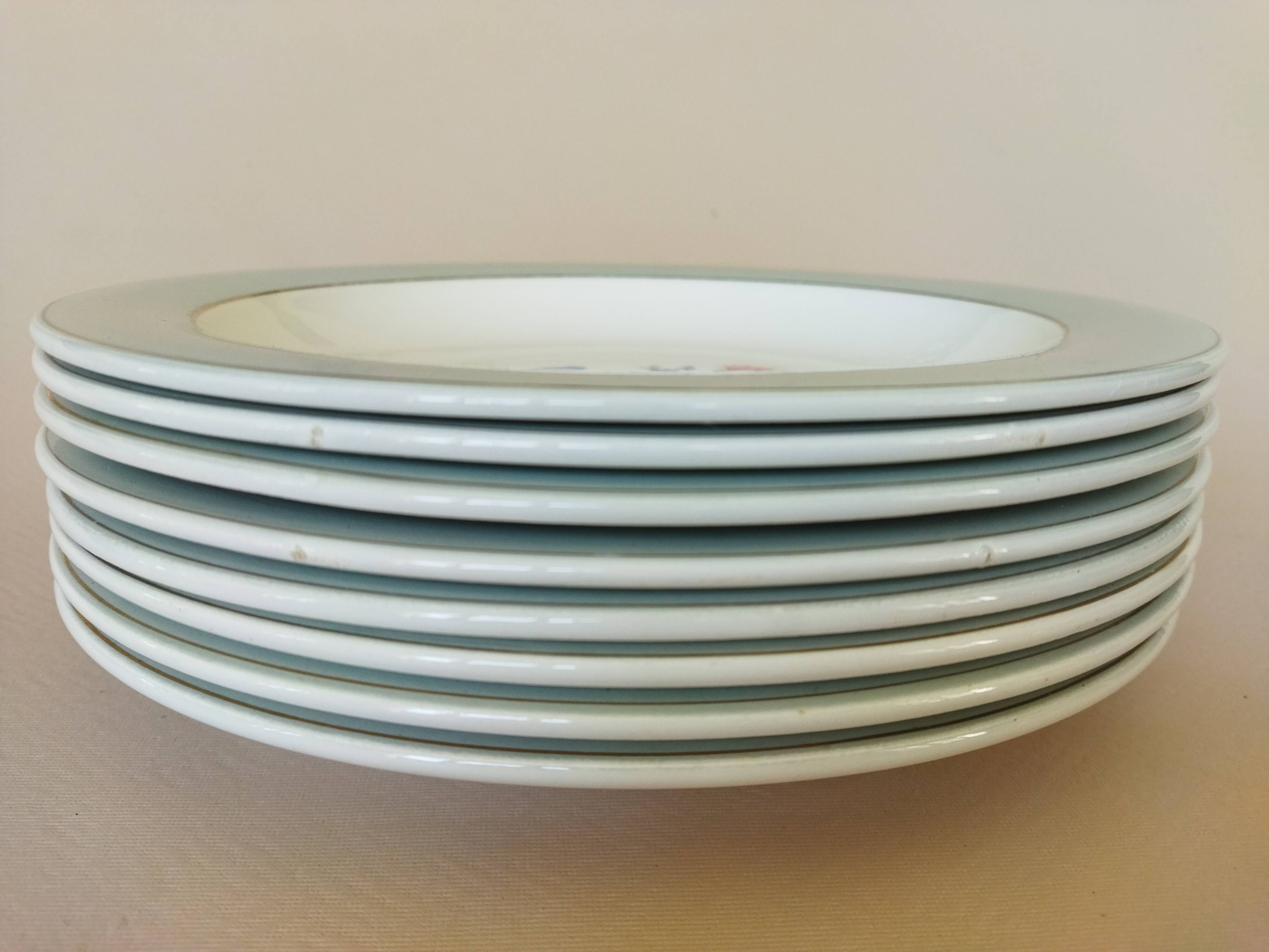 8 semi-deep plates Salins Opaceline 702