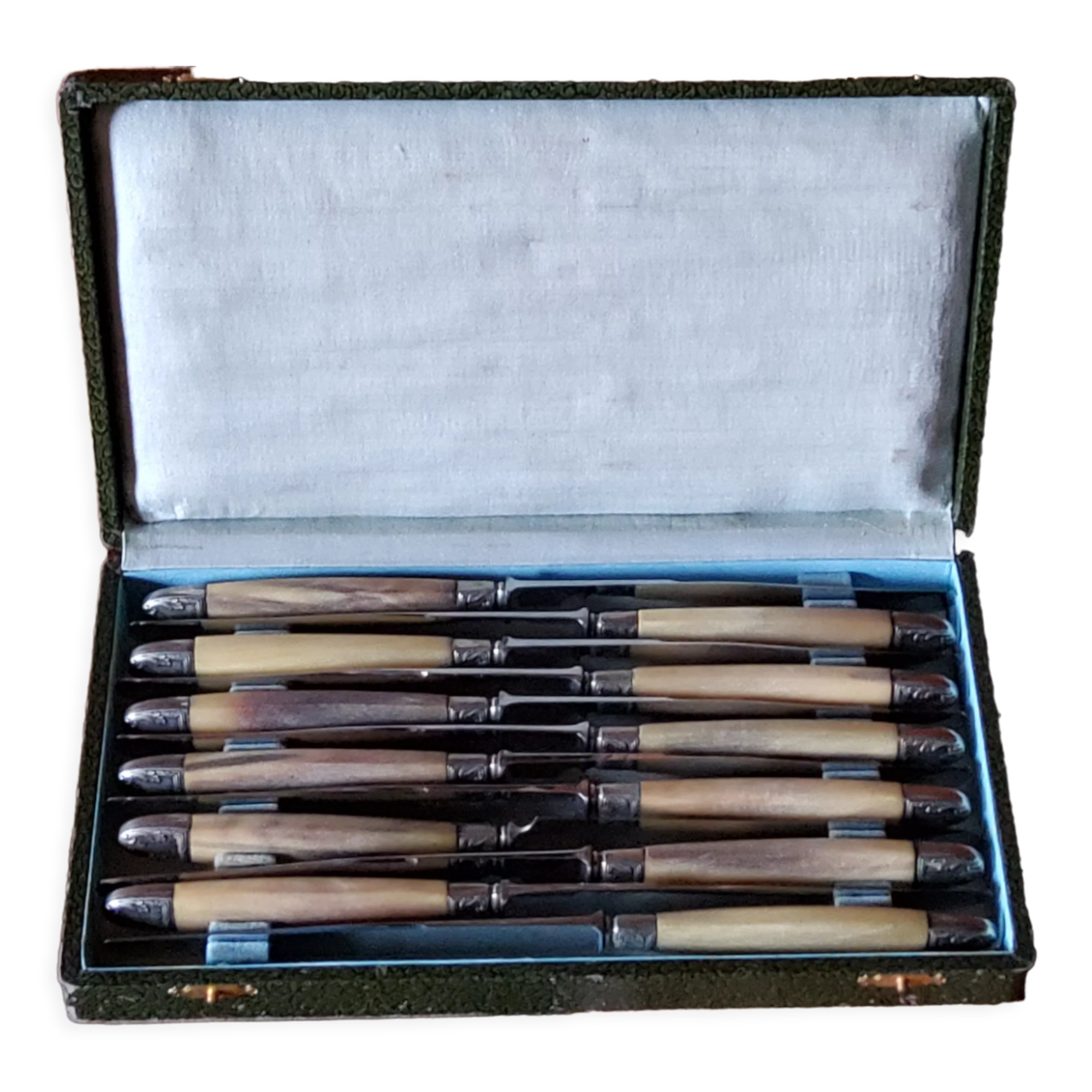 Box of 12 table knives goldsmith Apple handle horn and silver metal