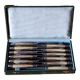 Box of 12 table knives goldsmith Apple handle horn and silver metal