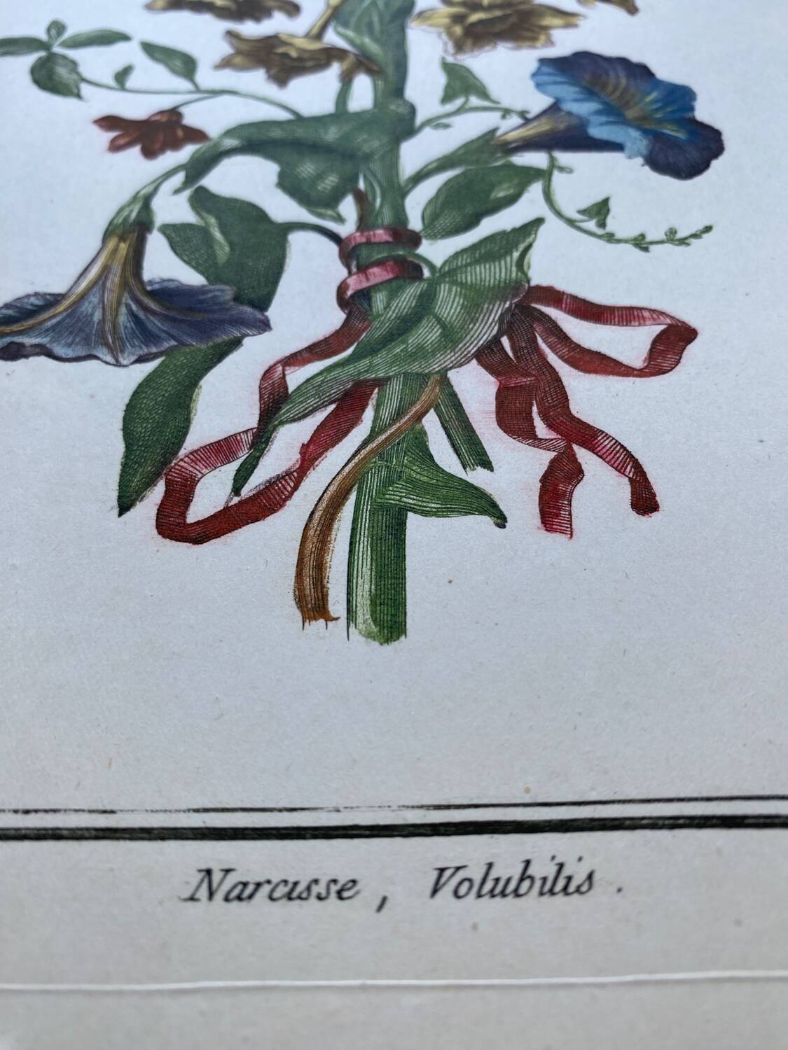 Two floral lithographs 224