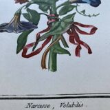Deux lithographies florales 224