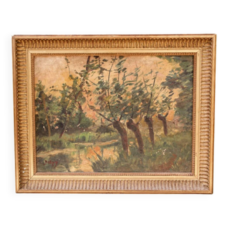 Oil on canvas, forest landscape signed Delpy