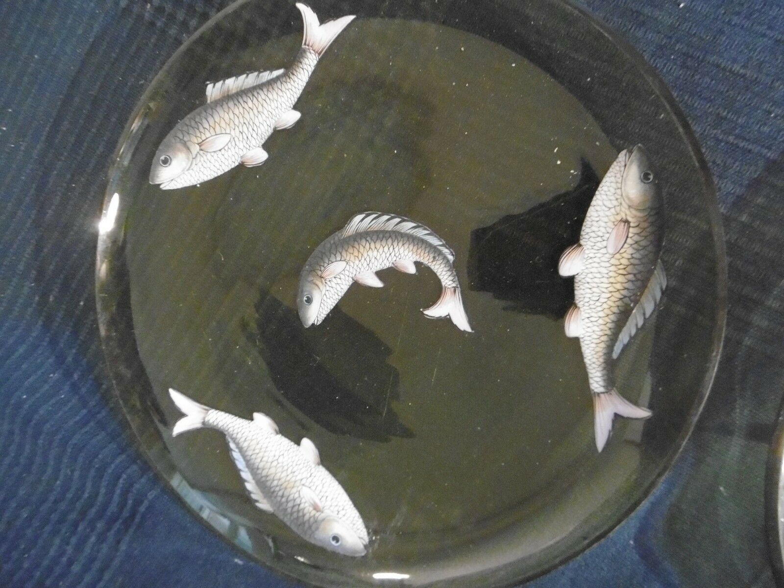 Set of 5 old plate in e emaille glass or hand-painted old fish decoration
