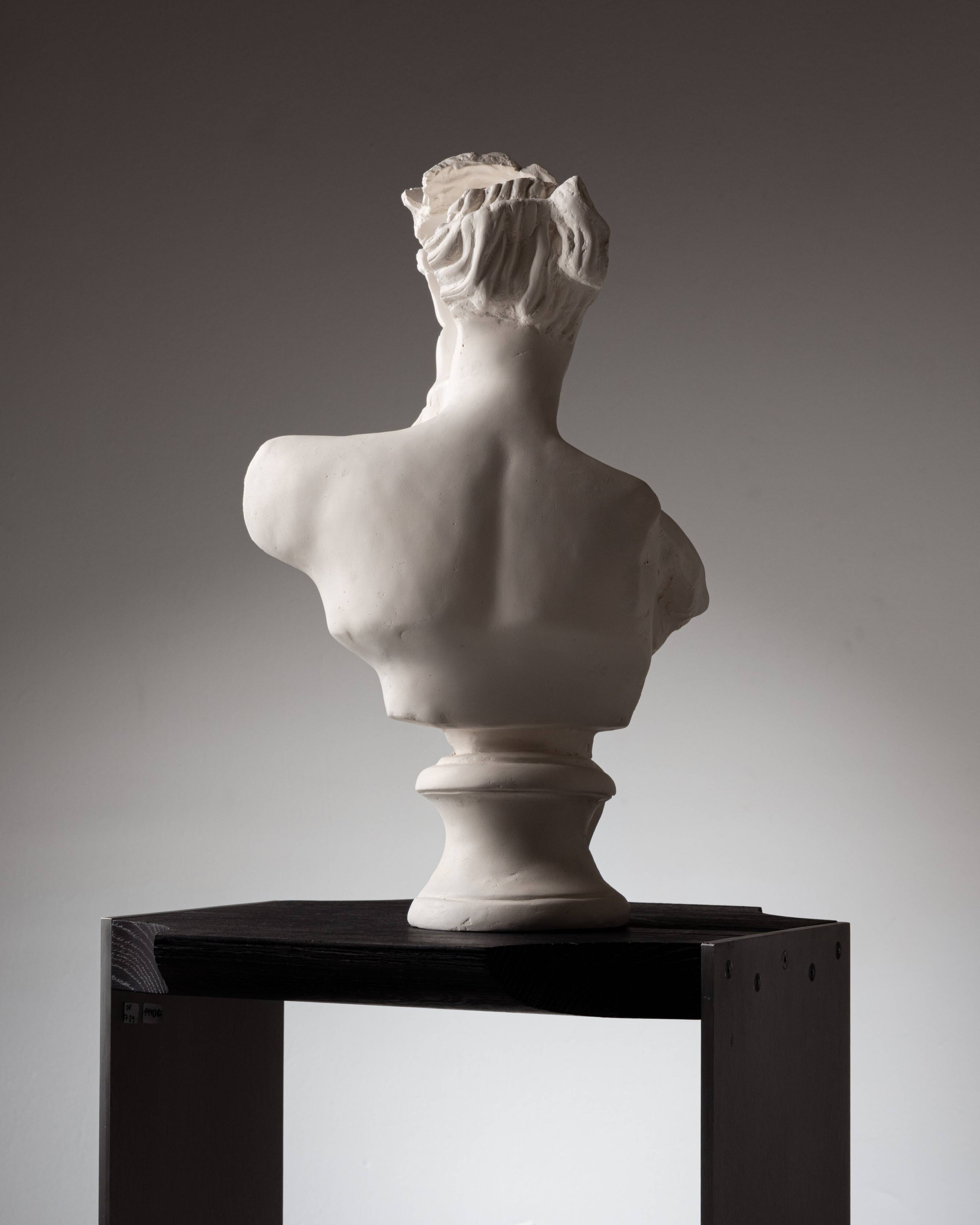 Fragmented Venus Sculpture #9