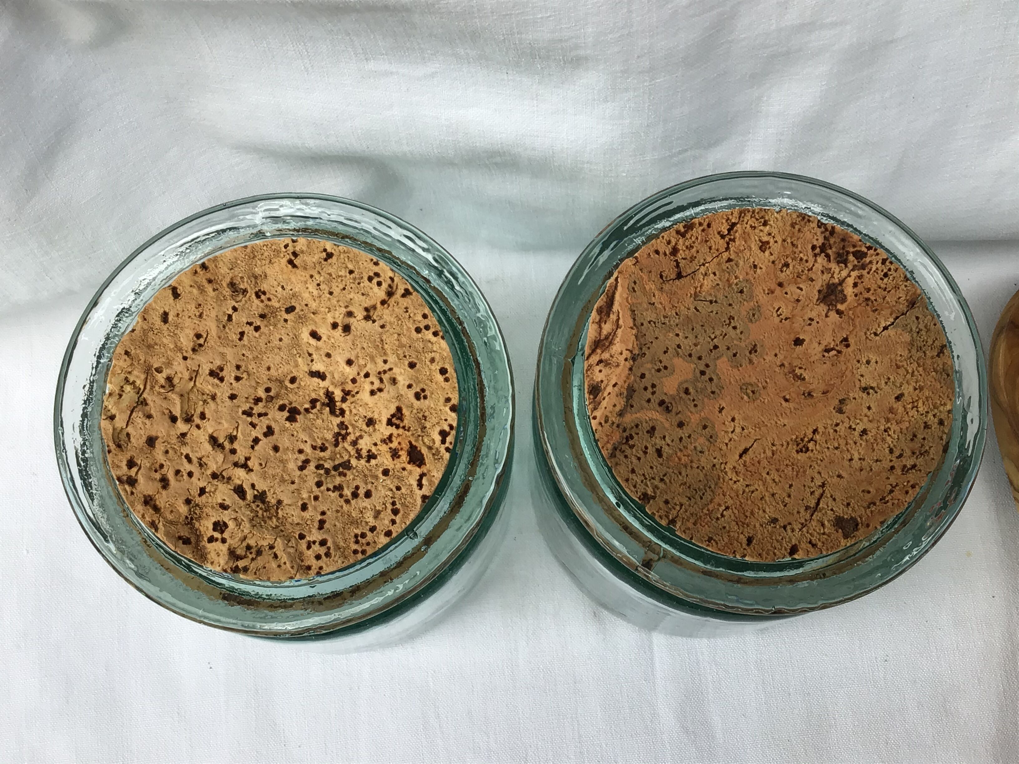Pair jars green cork cork