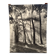 Photo argentique Bernard Darot Matin au Bois de Boulogne Club Nantais