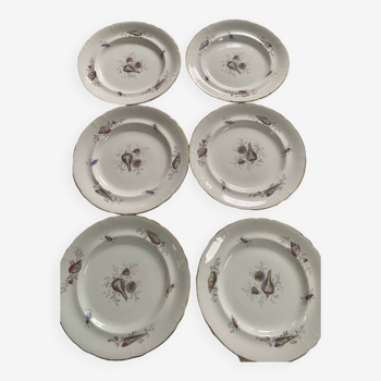 Set of six plates, vintage porcelain