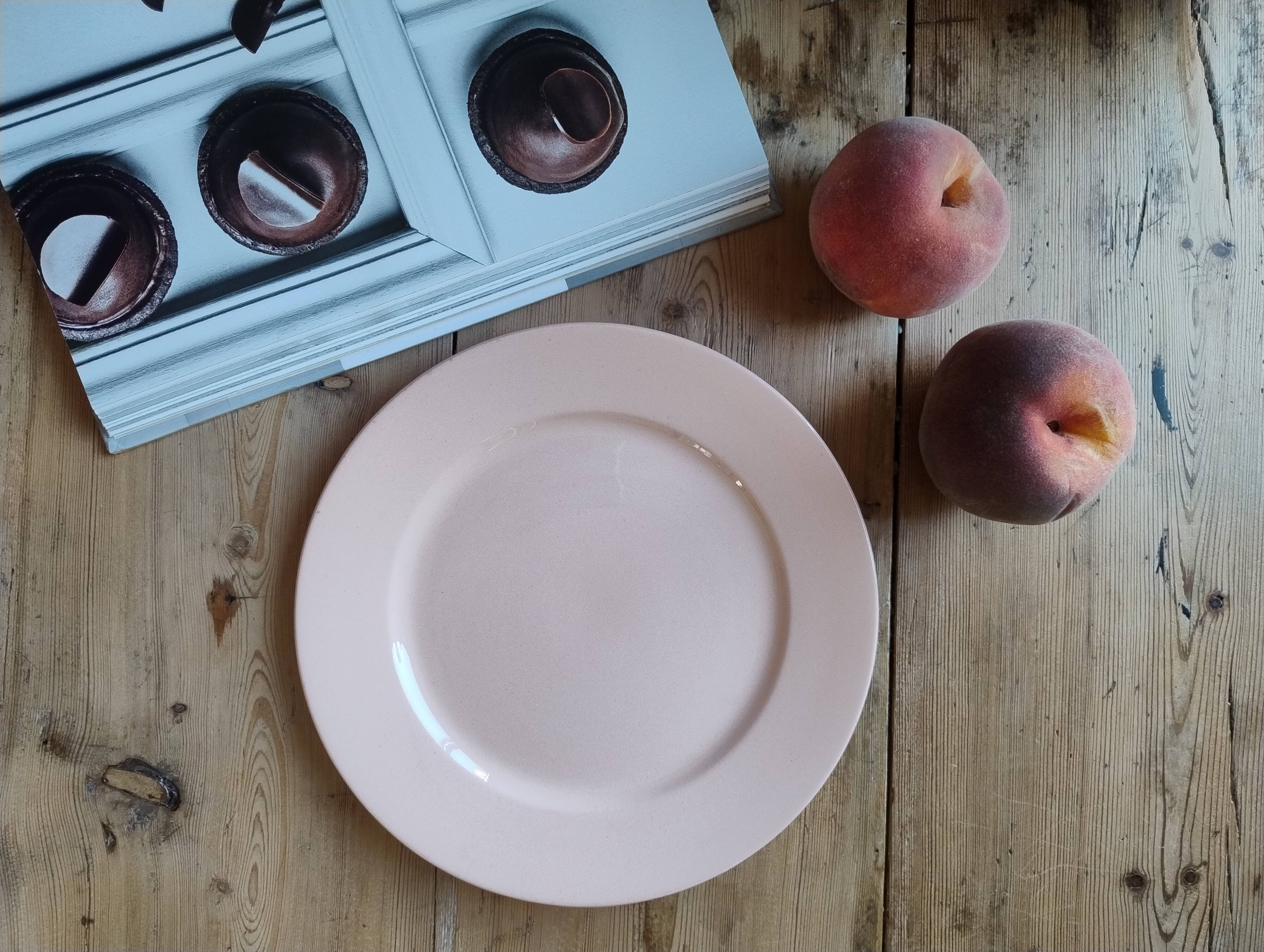 Vintage dessert plate in earthenware - Digoin & Sarreguemines