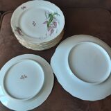 MS Fine Porcelain Dessert Set