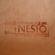 Ensemble de 4 chaises Pinstolar Nesto