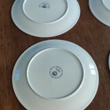 6 flat plates acapulco villeroy and bosch