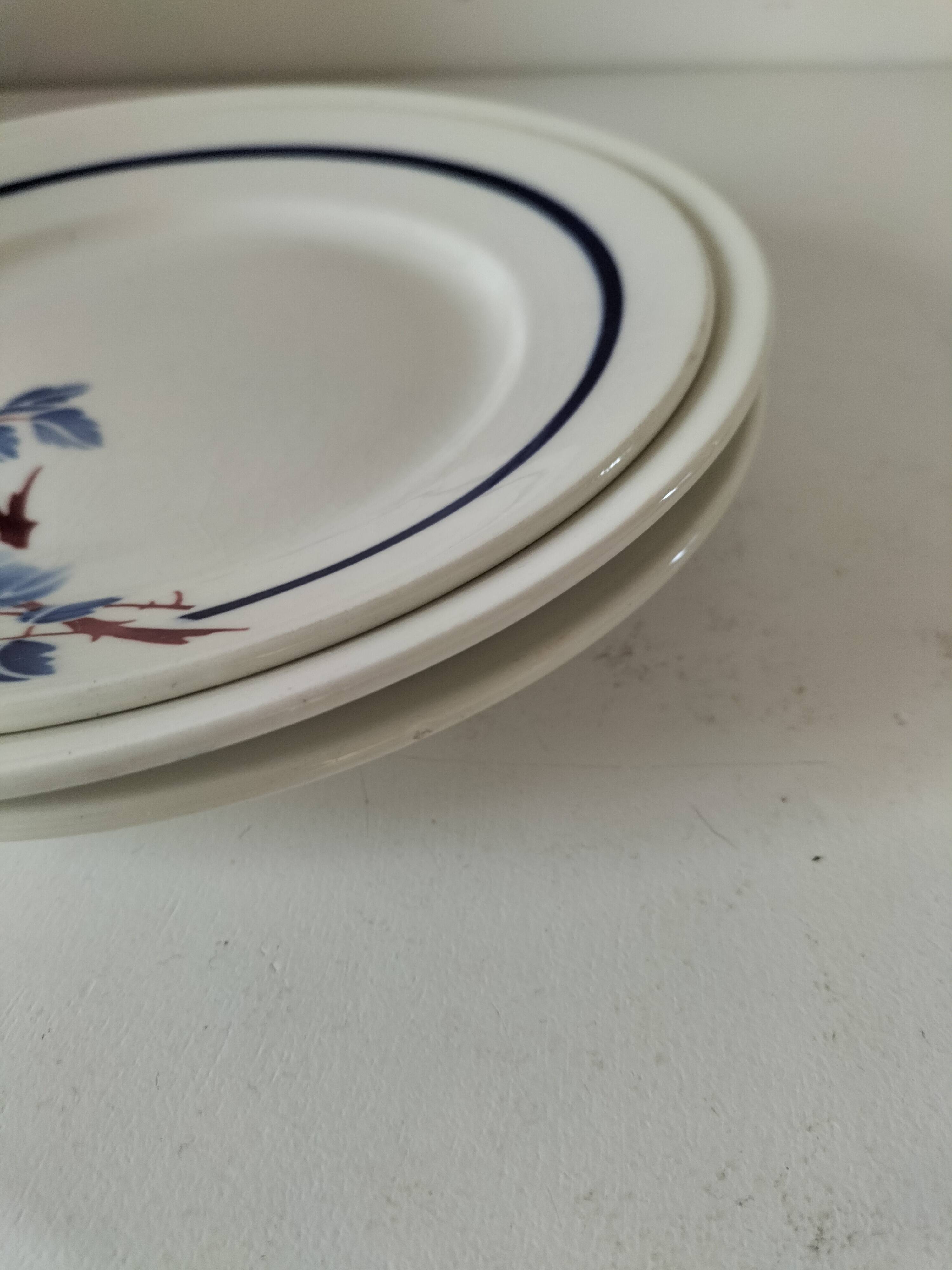 Set of three ironstone plates K & G Lunéville model Régine - 1950s