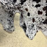 Peau de vache normande ht 240 x 230
