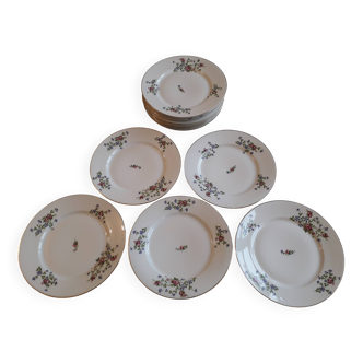 Set of 12 flat plates and 10 soup plates in limoge porcelain - word