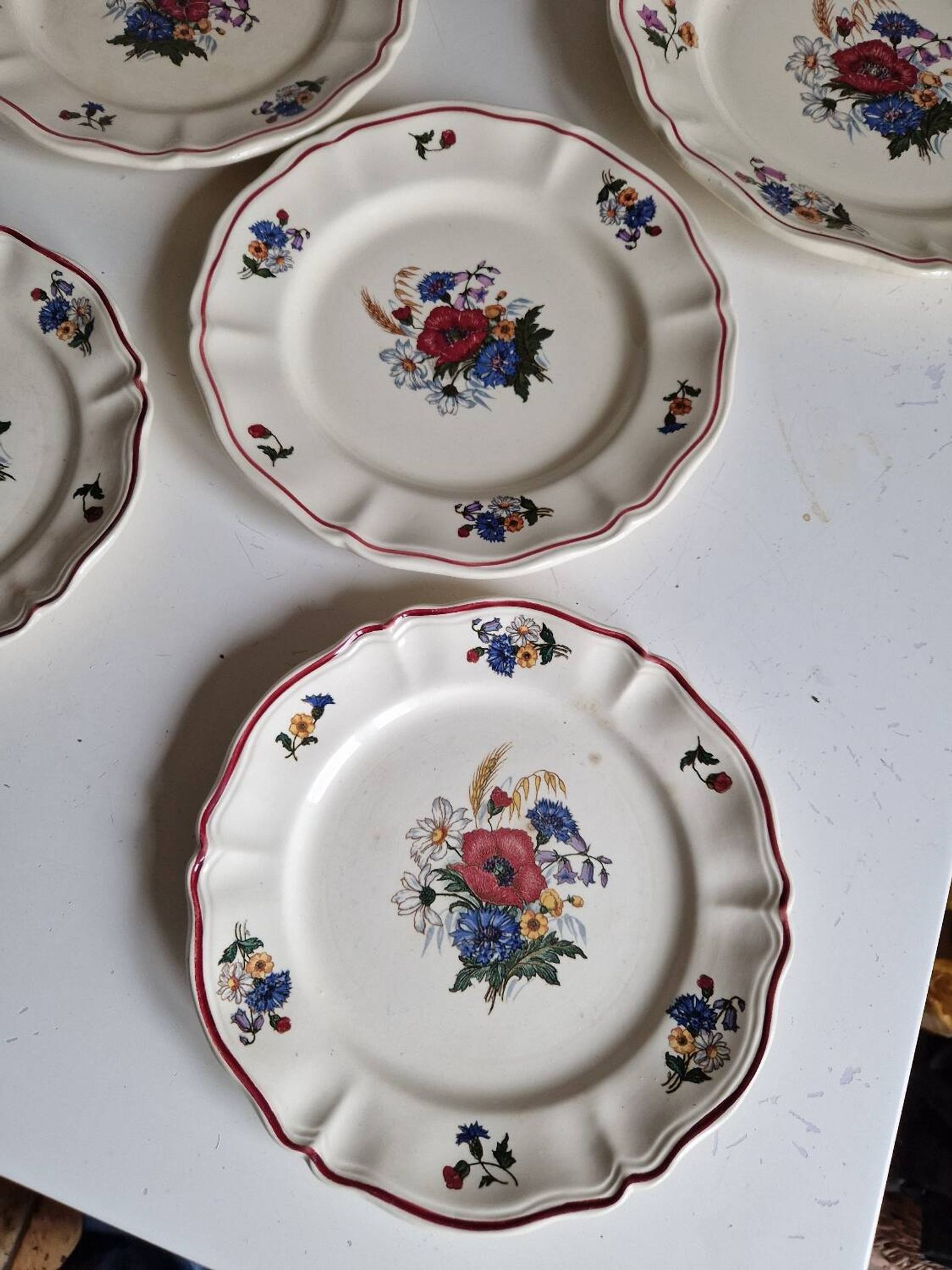 Set of 12 Sarreguemines Plates, Agreste Models