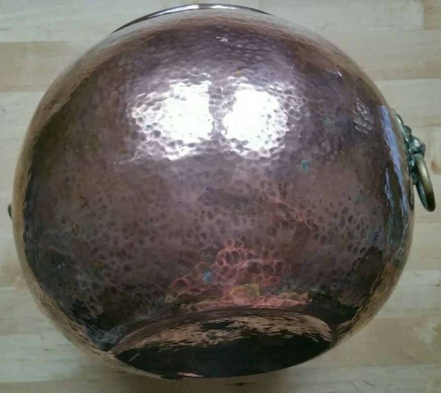 Copper lions head hide-and-seek