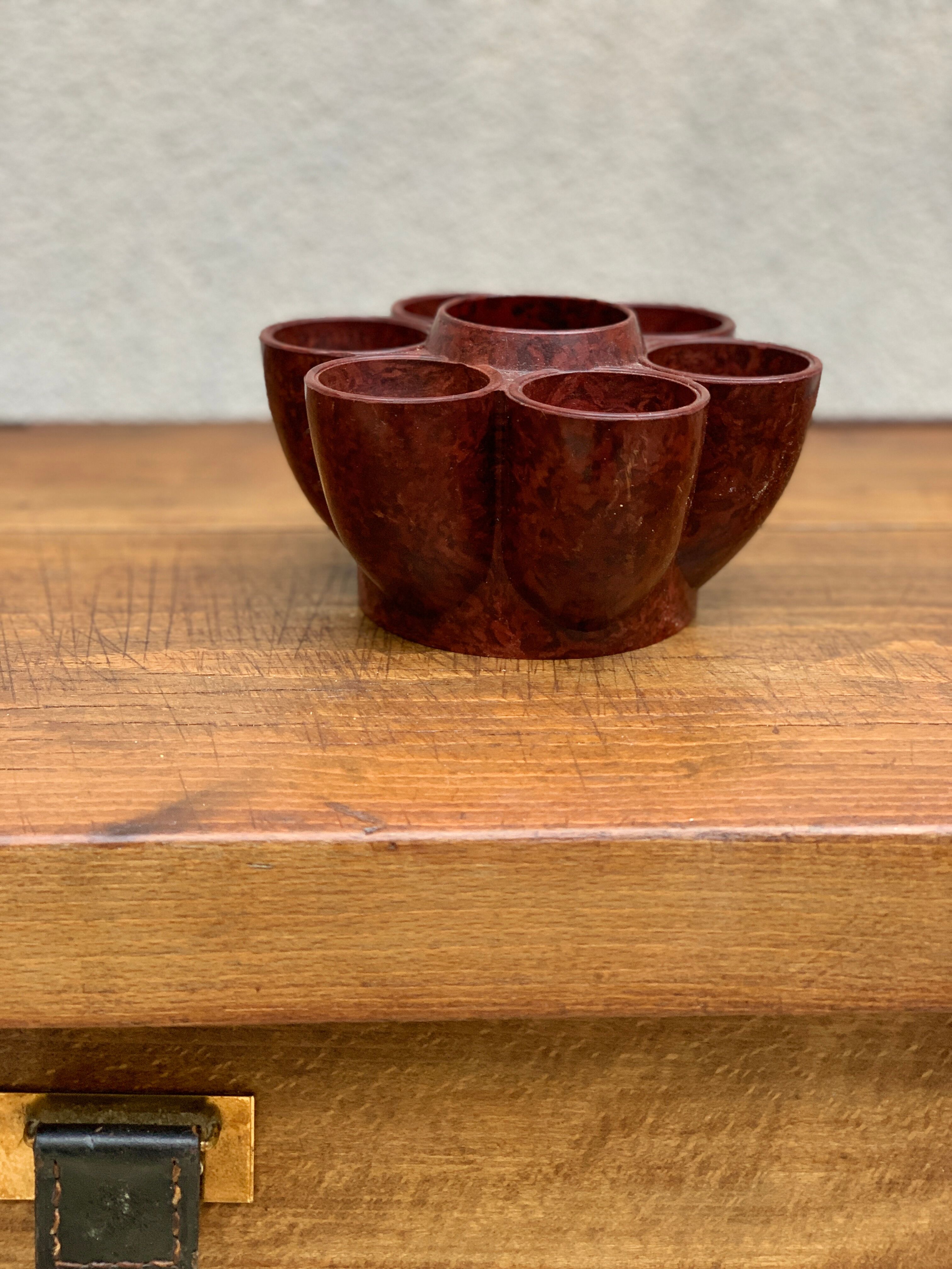 Cockroach in bakelite