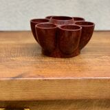 Cockroach in bakelite
