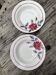 2 plates Moulin des Loups