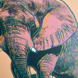 Screen printing Andy Warhol