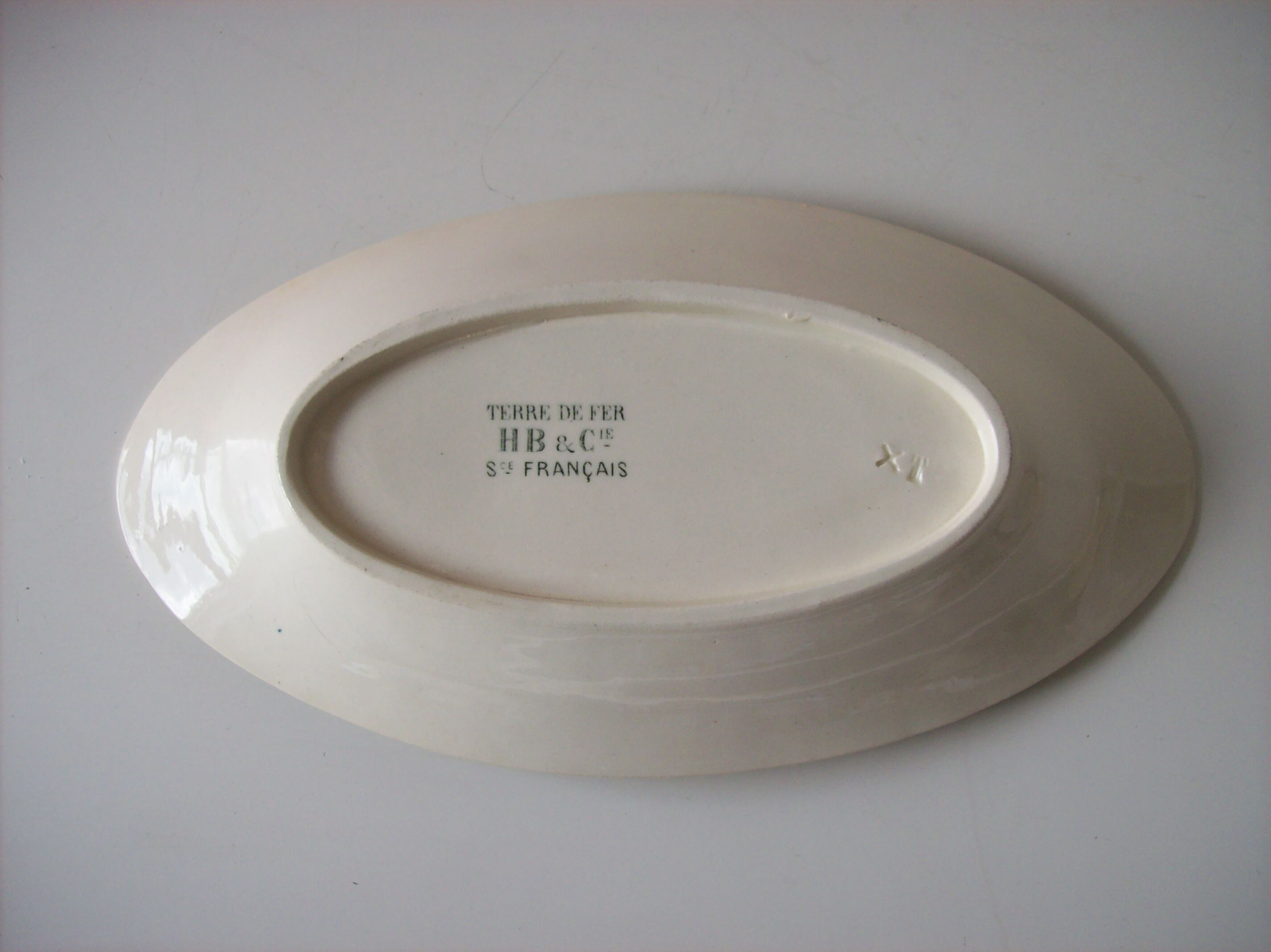 Ceramic flat iron earth