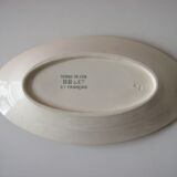 Ceramic flat iron earth