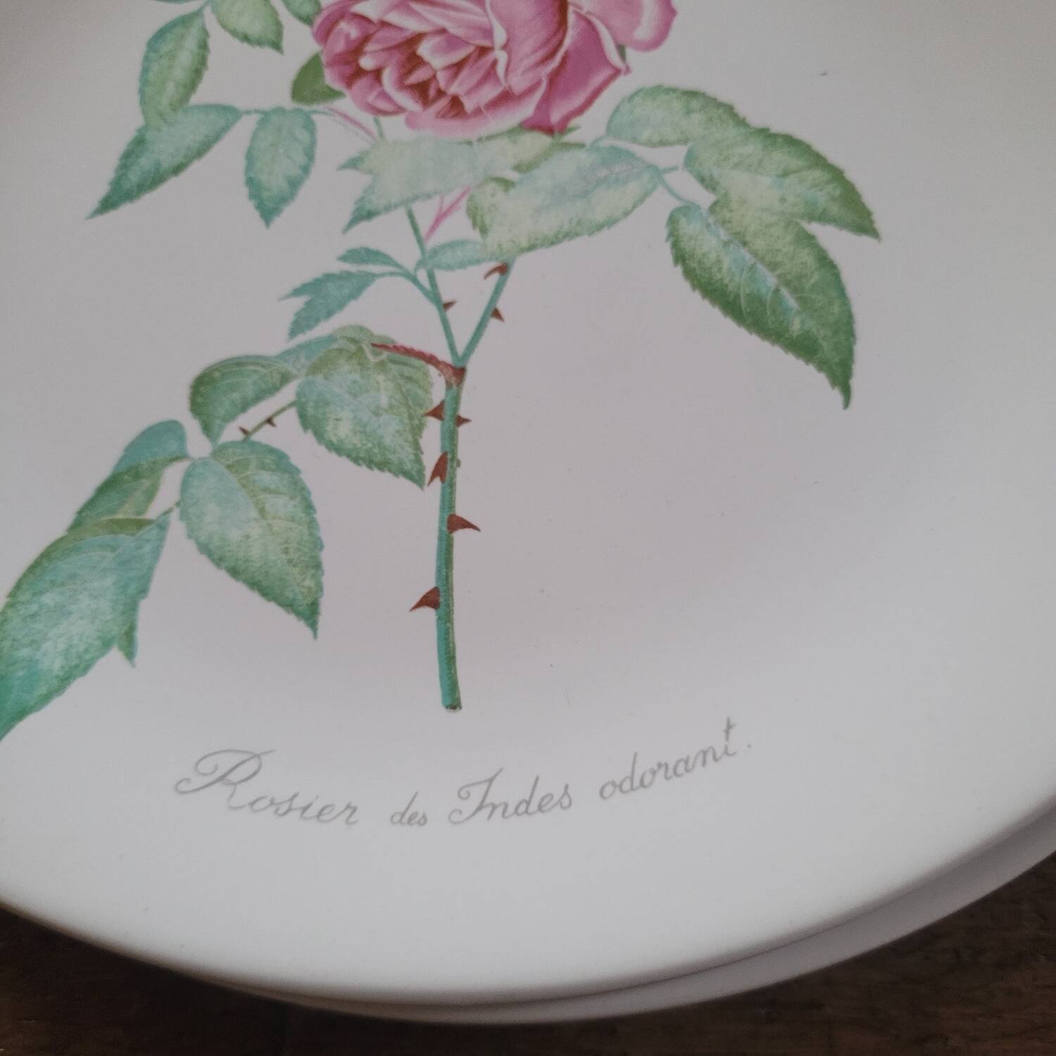 8 oval plates Salins – 1970s – Botanical roses