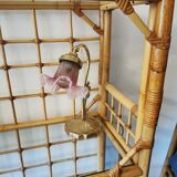 Rattan and bamboo library