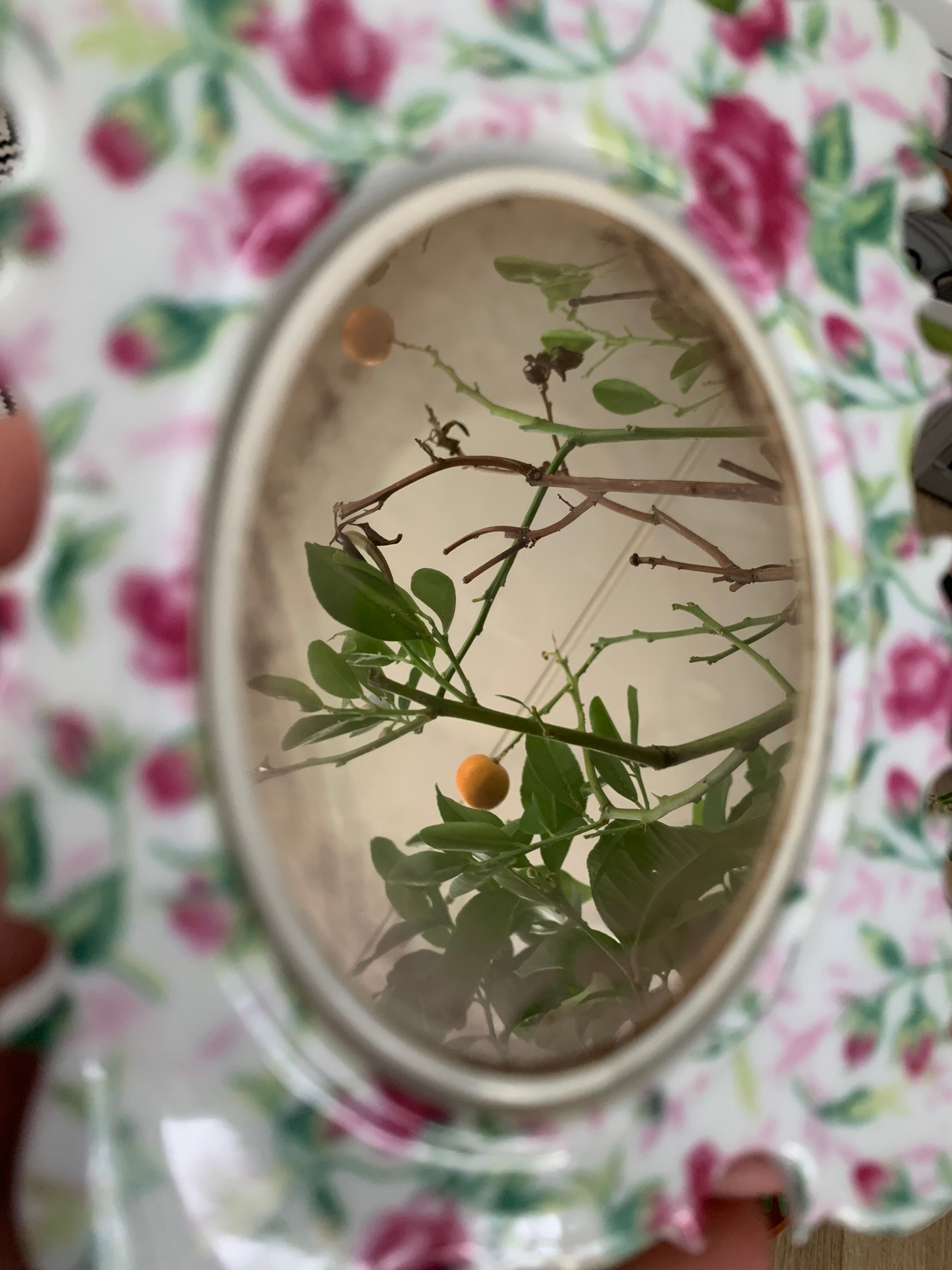 Antique porcelain mirror pink pattern