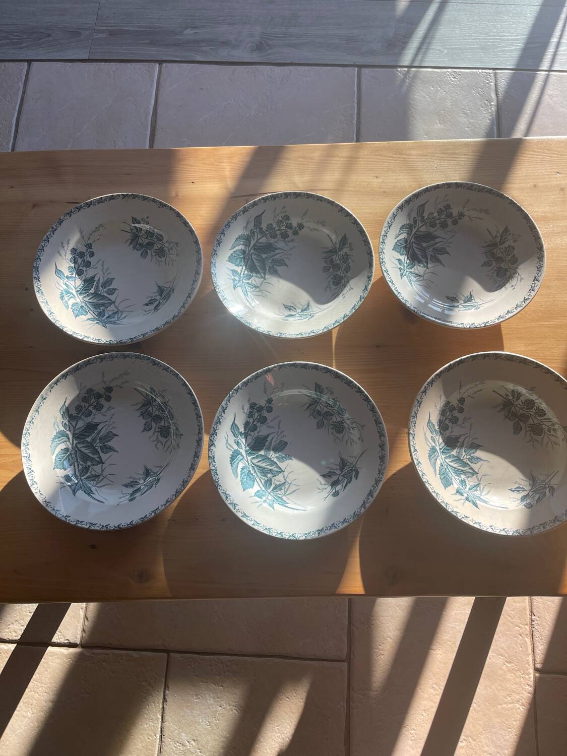 6 Badonviller blackberry model plates