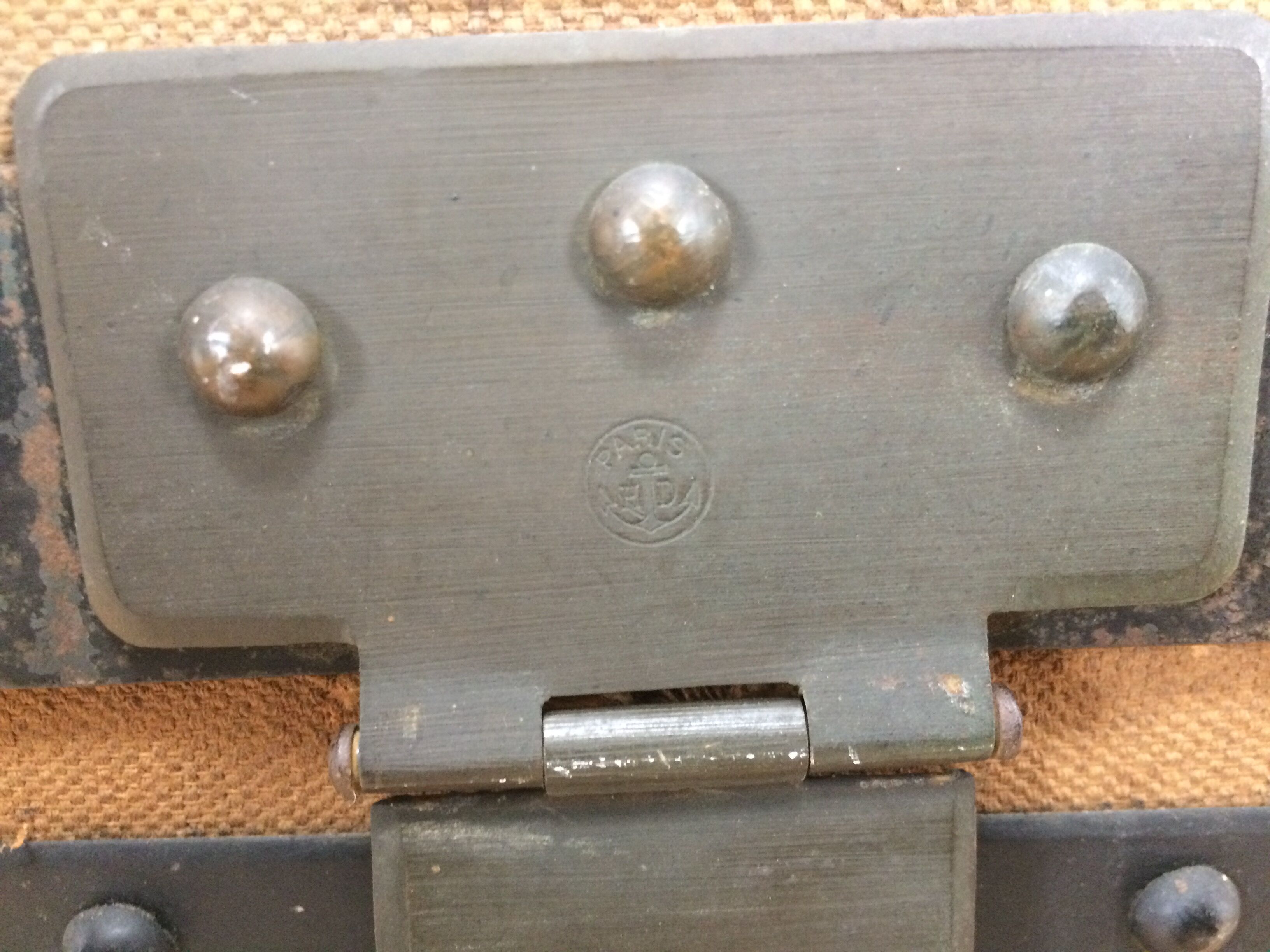 Bulging trunk at the tourist