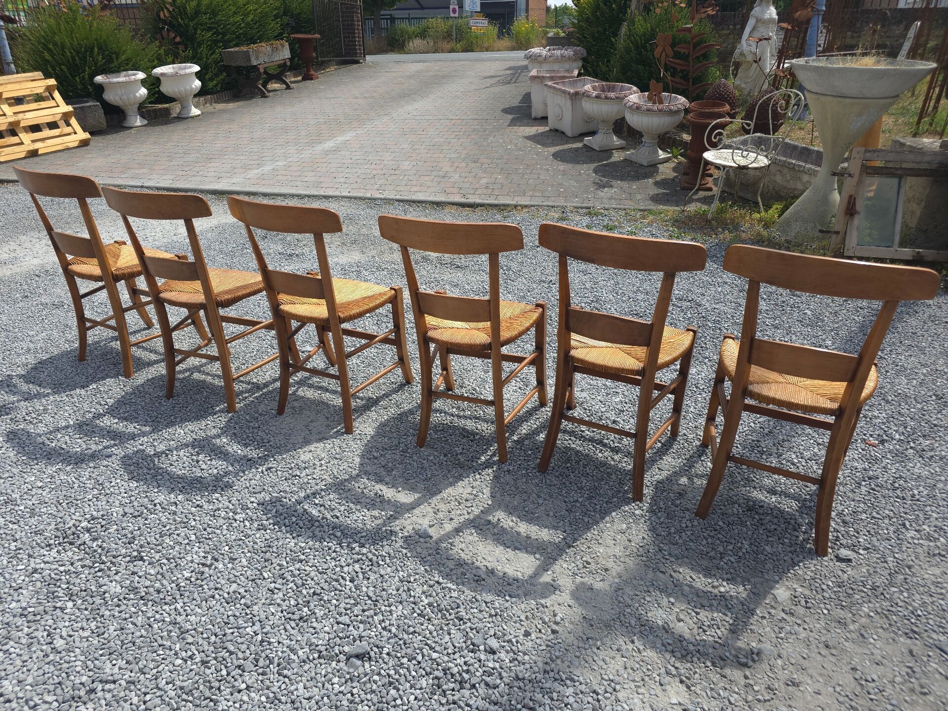 6 chaises en merisier