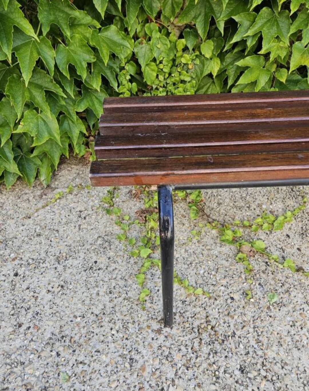 Vintage school bench