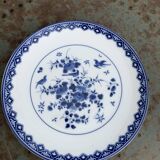 Collectible porcelain plate rijks museum flowers and blue birds, vintage and collector