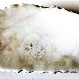 Empty pocket white and gray around 1960 in alabaster