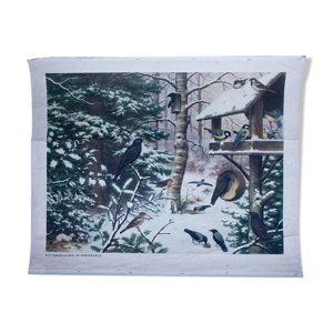 Affiche Maison d’oiseau en hiver